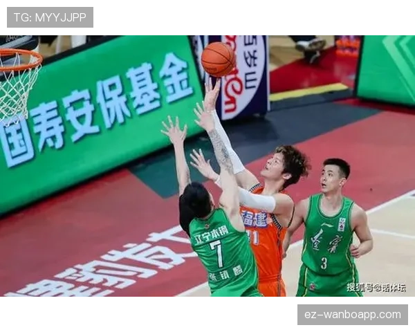篮下关键判罚解读：完整掌握“前场规则”的判断标准与常见争议